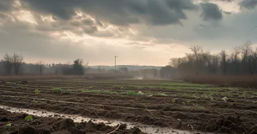 В Молдове прогнозируют рекордные зимние осадки, способствующие урожаю озимых