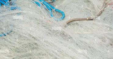 Браконьеры из Молдовы выплатят 800 тысяч леев за незаконную рыбалку