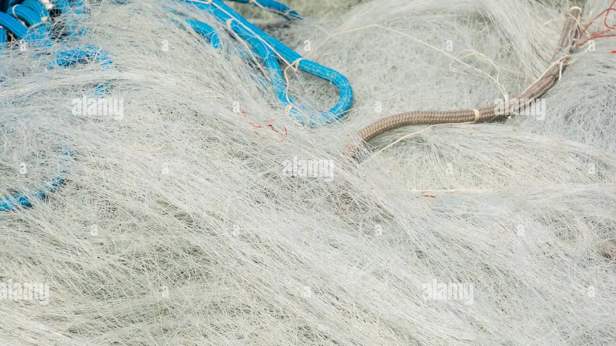 Braconierii din Moldova vor plăti 800 de mii de lei pentru pescuit ilegal