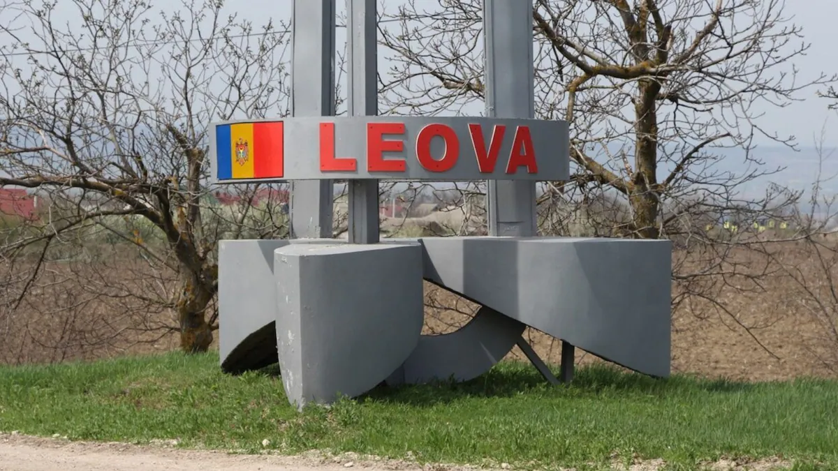 Обыски в Леова: у местного жителя изъяли наркотики и шприцы