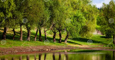 В Молдове 26 марта потеплеет до +18°C