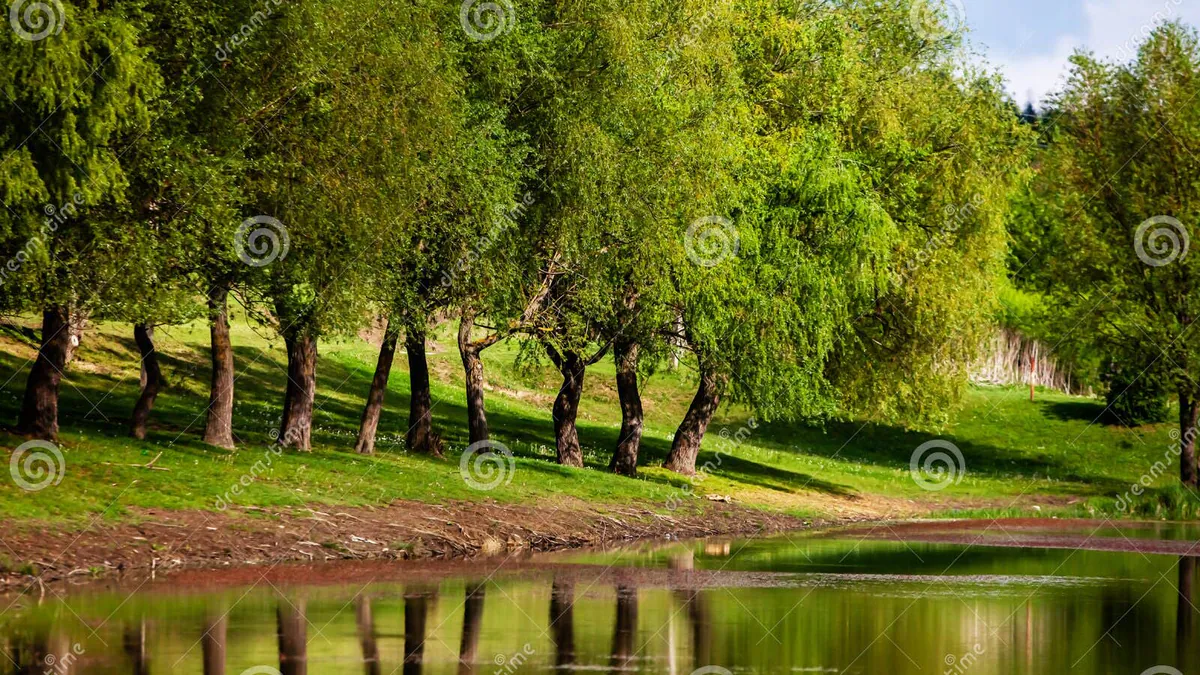 В Молдове 26 марта потеплеет до +18°C