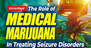 У жителя села Фурчень изъяли 11 кг марихуаны на 5 млн леев