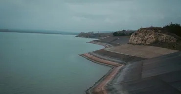 В Молдове объединят лесные хозяйства в единое предприятие Pădurile Moldovei