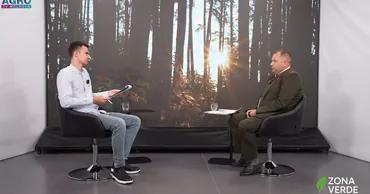 В Молдове объединят 19 лесхозов в единое госпредприятие Pădurile Moldovei