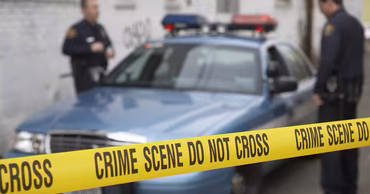 В Бельцах 61-летний мужчина убил кошку: полиция начала расследование