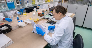 В Молдове усиливают контроль за импортом продуктов животного происхождения