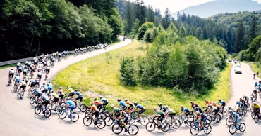 A large group of professional cyclists riding in a peloton on a winding mountain road.