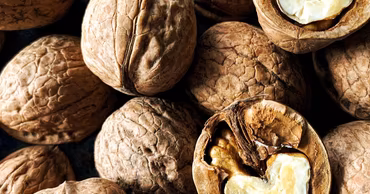 A close-up view of several whole walnuts and one cracked open walnut.