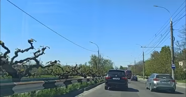 Cars driving on a road in Chisinau with trees and utility poles visible.