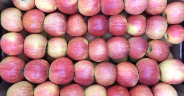 A top-down view of a cardboard box filled with fresh red apples.
