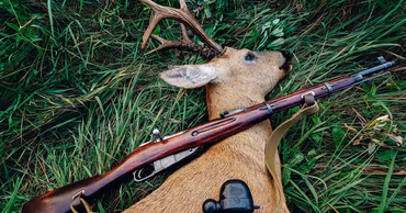 A hunting rifle lying on a harvested roe deer in the grass.