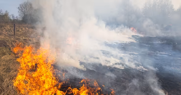 A field of dry grass and reeds burning with flames and thick smoke.