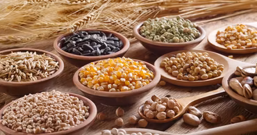 Various types of grains and legumes in wooden bowls on a rustic table.