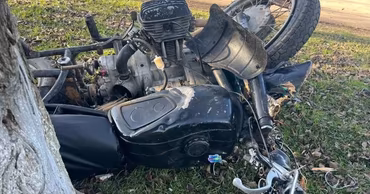 A damaged motorcycle lying on the grass next to a tree after an accident.