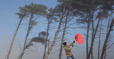 A person struggling with a red umbrella against strong wind near trees.