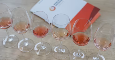 Six glasses of rose wine arranged on a table with the official ONVV logo in the background.