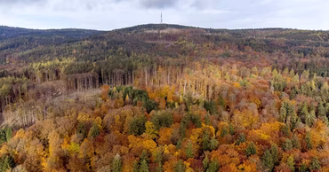 Aerial view of a dense forest with some cleared areas during autumn.