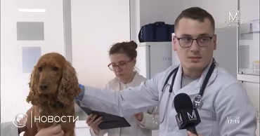 A young veterinarian being interviewed in a clinic, representing young specialists in Moldova.