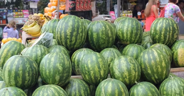 A large pile of fresh green watermelons displayed for sale at a market.