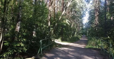 A path and a small bridge in the Riscani forest park in Chisinau.