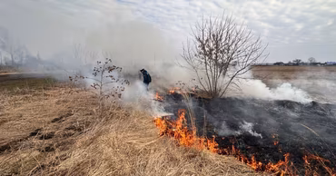 A field of dry grass burning with smoke and a person in uniform nearby.