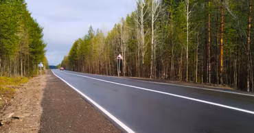 A newly paved asphalt road stretching through a forest with clear road markings.