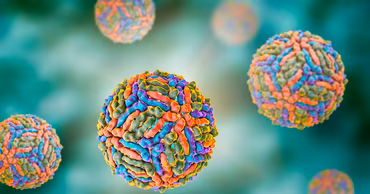 A 3D illustration of the West Nile virus particles against a blurred background.