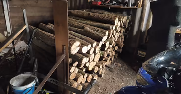 A stack of cut logs stored in a shed or workshop setting.
