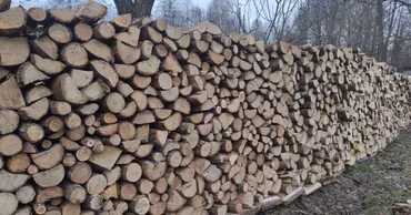 A large stack of chopped firewood logs stored outdoors in a rural setting.