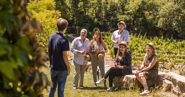 A group of tourists enjoying wine tasting in a Moldovan vineyard.