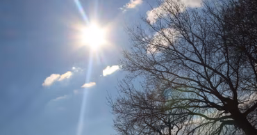 Bright sun shining in a clear blue sky above bare autumn tree branches.