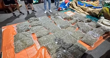 Numerous plastic bags filled with marijuana laid out on the ground during a police seizure.